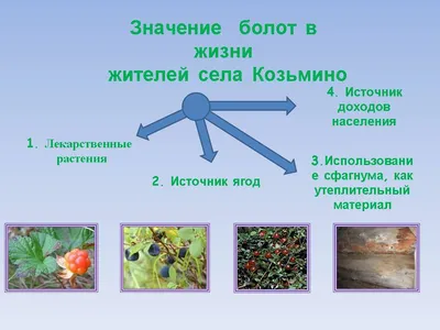 Всемирный день водно-болотных угодий: для чего природе нужны болота? |  Москва | Международный мультимедийный пресс-центр