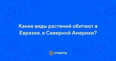 Слива "Евразия - 21" ✓ купить саженцы в питомнике в Москве, Туле, Белгороде