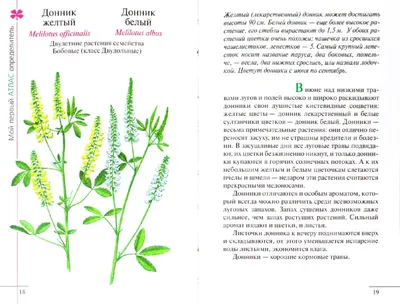 Книга: "Атлас: Растения луга (665)" - Козлова, Сивоглазов. Купить книгу,  читать рецензии | ISBN 978-5-358-04400-5 | Лабиринт