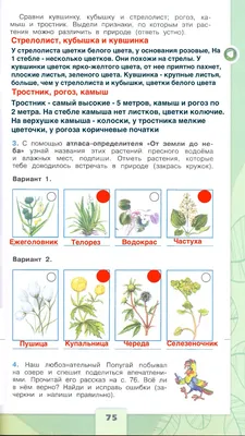 Архивы Экополис | Газета Кемерово