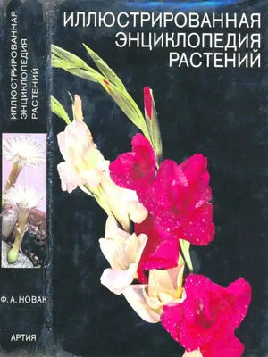 Иллюстрированная Энциклопедия Растений ( PDFDrive ) | PDF