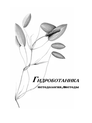 Аннотированный список растений (составитель - М.А. Борисова)