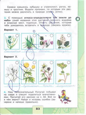 с помощью атласа-определителя от земли до неба Узнай названия этих растений  пресного водоёма и - Школьные Знания.com