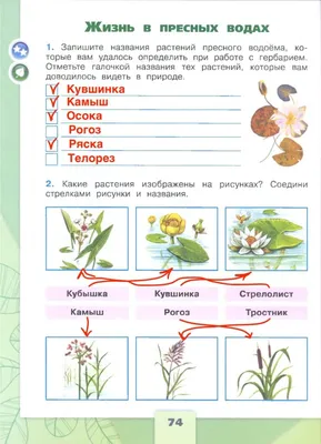 Помогите! Определите растения пресного водоёма и влажных мест. - Школьные  Знания.com