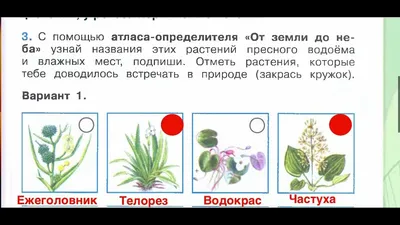 Конспект занятия «Жизнь и загадки пресного водоёма» для детей дошкольного  возраста 5–6 лет (4 фото). Воспитателям детских садов, школьным учителям и  педагогам - Маам.ру