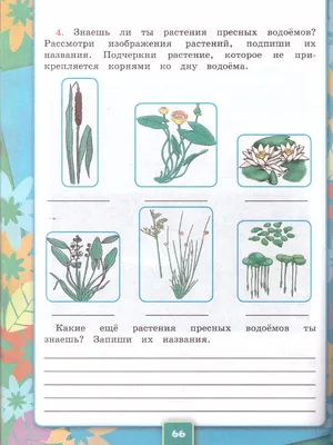 какие это растения жизни в пресных водах, помогите пожалуйста срочно на  :15 пожалуйста - Школьные Знания.com
