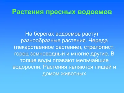 Презентация "Жизнь пресного водоема" (2 класс) по окружающему миру –  скачать проект