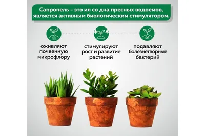 Сапропель Фабрика Торфа для комнатных цветов и растений Сп-2 - выгодная  цена, отзывы, характеристики, фото - купить в Москве и РФ
