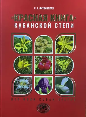 Степи, естественные и измененные человеком: принципиальное сходство, о  котором нельзя забывать — Государственный комитет по экологической политике  и природным ресурсам при Главе Донецкой Народной Республики