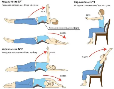 Тренажер для растяжки спины FLEXYBACK - Медтехника 21