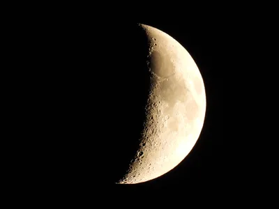 Растущая Луна | Пикабу