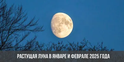 Растущая луна в январе и феврале 2025 года: когда будет, дни, календарь