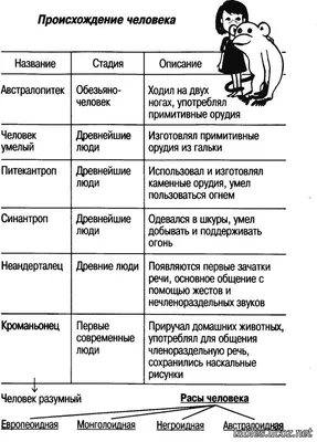 Расы человека - видеоурок по биологии за 8 класс