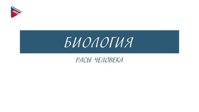 Тайны человека золотой расы. Карма, бессмертие, будущее и другие загадки  Вселенной, Лариса Секлитова – скачать книгу fb2, epub, pdf на ЛитРес