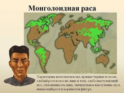 Монголоидность как тренд к неотении (Олег Гуцуляк) / Проза.ру