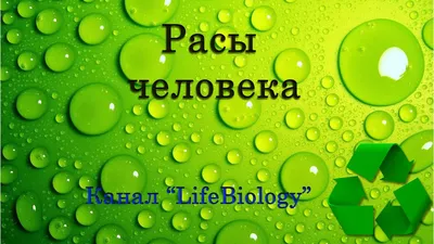 Плакат по географии "Расы людей мира" купить у производителя - "Краина  стендов"