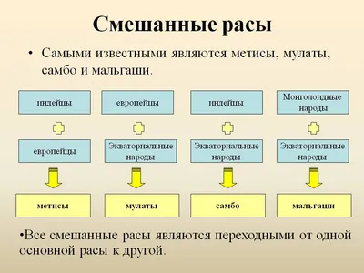 8 Класс Биология Расы Человека | PDF