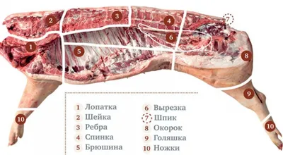 разделка мяса / смешные картинки и другие приколы: комиксы, гиф анимация,  видео, лучший интеллектуальный юмор.