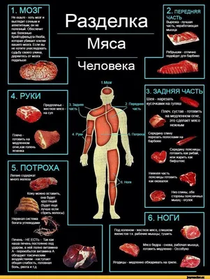 Распил мяса, ет болу, разделка мяса, мясо, ет, пила, распил туши, - Прочие  услуги Астана на Olx