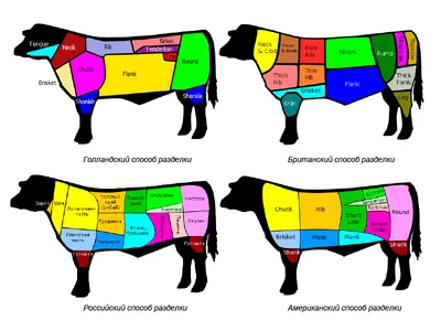 Части туши говядины: разделка, виды, особенности | Говядина, Готовить на  гриле, Филе миньон