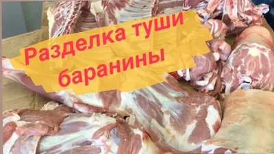 Разделка бараньей туши и распределение мяса (часть 3): stalic — LiveJournal