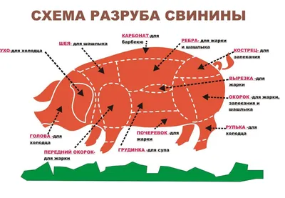Мясо и его обработка - online presentation