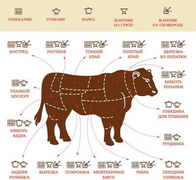 Как определить качество мяса: порода животного, возраст, корм, выдержка,  убой и разделка животного - Афиша Daily