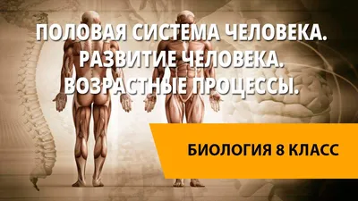 Размножение человека спорами, человек…» — создано в Шедевруме