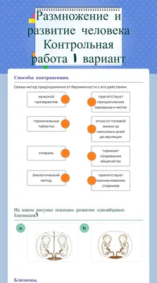 Споровики: тип простейших, строение, жизненный цикл, борьба