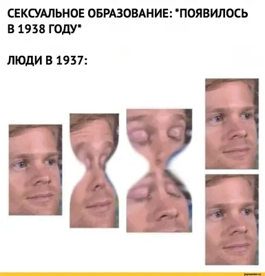 29—3. Способы бесполого размножения многоклеточных организмов: Полиэмбриония