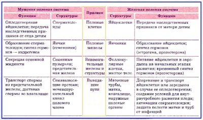 Конспект "Размножение и развитие организма человека" - УчительPRO