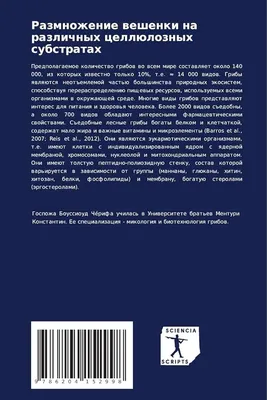 Размножение вешенки на различных целлюлозных субстратах (Russian Edition):  Боуссиоуд, Черифа: 9786204152998: : Books