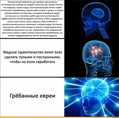 Человечество развилось до уровня, где влияние естественного отбора на людей  снизилось до такой степени, что жадные, тупые люди, эксплуатирующие жизнь  через тотальное потребление, нашли себя в уюте и покое, и теперь  размножаются