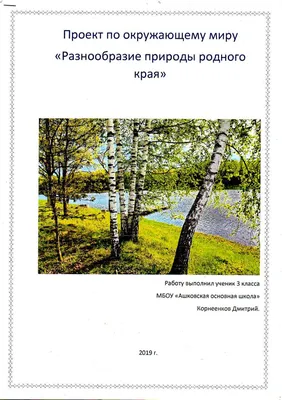 Разнообразие природы родного края картинки