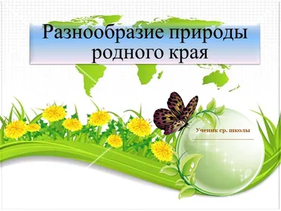 ПРОЕКТ "Разнообразие природы родного края" презентация - CALAMEO Downloader