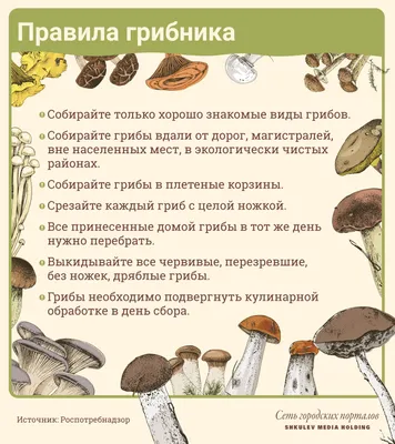 ГРИБЫ | Виды грибов: съедобные, несъедобные | Названия грибов | Изучаем  грибы | -ЧАСТЬ 1- - YouTube