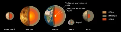 File:Terrestial Planets internal  - Wikimedia Commons