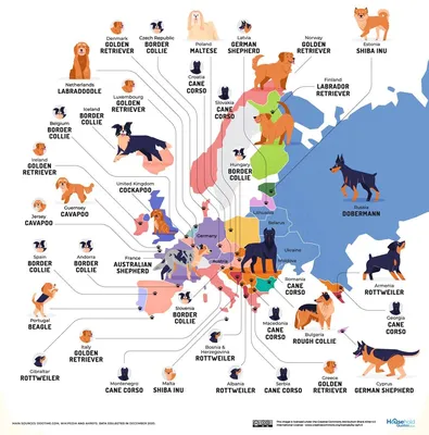 Самые популярные собаки в разных странах мира: карта