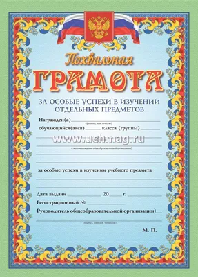 Похвальная грамота за особые успехи в изучении отдельных предметов – купить  по цене: 12,60 руб. в интернет-магазине УчМаг