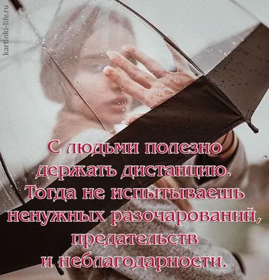 Единственное, что мы делаем хорошо, - это ошибаемся в людях #отношения  #психология #любовь #цитатадня #одиночеств… | Love words, Inspirational  phrases, Love quotes