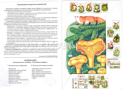 МЕМО карточки Фрукты, овощи, ягоды, грибы: купить мемо карточки - Полесье  игрушки