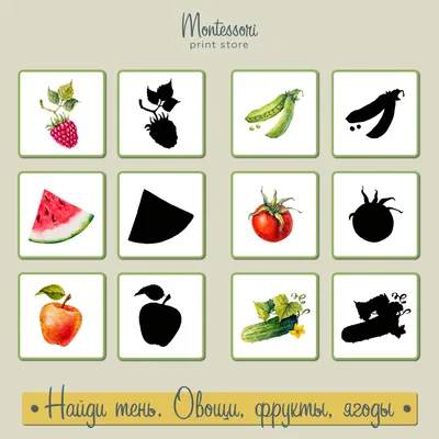 Книга "Разрезные элементы" 5-в-1 Овощи, фрукты и ягоды, 10 страниц - ТД  Трианон - бытовая химия и товары от производителей в Новосибирске
