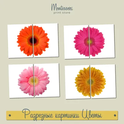 Разрезные картинки Цветы - карточки Монтессори купить и скачать