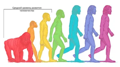 Теория развития Дарвина Определение развития Дарвина Развитие Дарвина  человека Иллюстрация вектора - иллюстрации насчитывающей икона, антител:  68739946