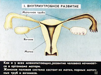 Влияние образования на развитие человека – тема научной статьи по наукам об  образовании читайте бесплатно текст научно-исследовательской работы в  электронной библиотеке КиберЛенинка