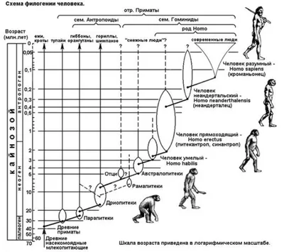 Влияние социальной среды на развитие и жизнь человека