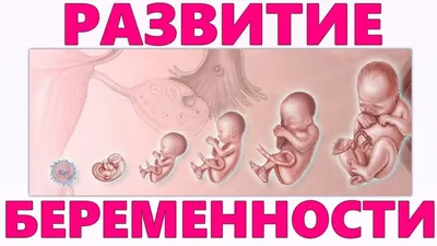 медико - социальная помощь беременным женщинам | КГБУ "Богородский  комплексный центр социального обслуживания населения"