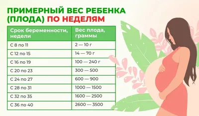 Развитие плода и ощущения мамы на 17-й неделе беременности