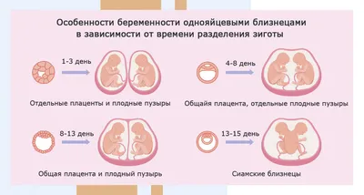 Беременность: как растет и развивается плод, какие ощущения испытывает  женщина?