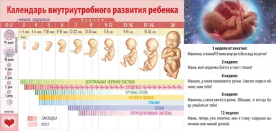 Генетические тесты, тест Panorama, Тест Horizon, Тест Anora, Тест Вистарa,  Неинвазивные пренатальные тесты